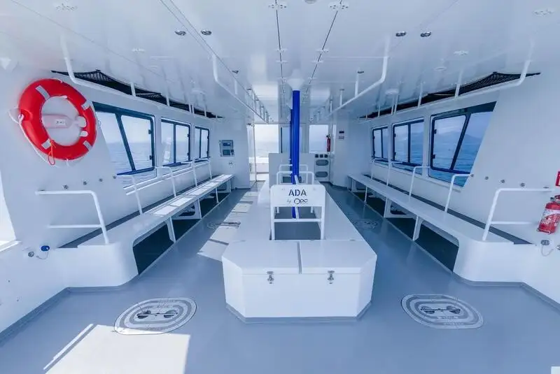 Catamaran te koop
