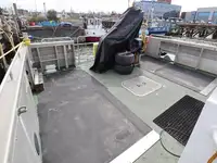 Catamaran te koop