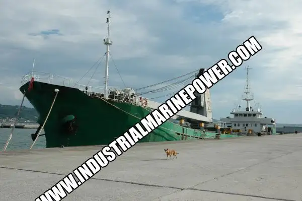 Container ship for sale
