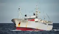 Trawler te koop