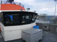 Catamaran te koop