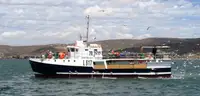 Purse seiner Te koop