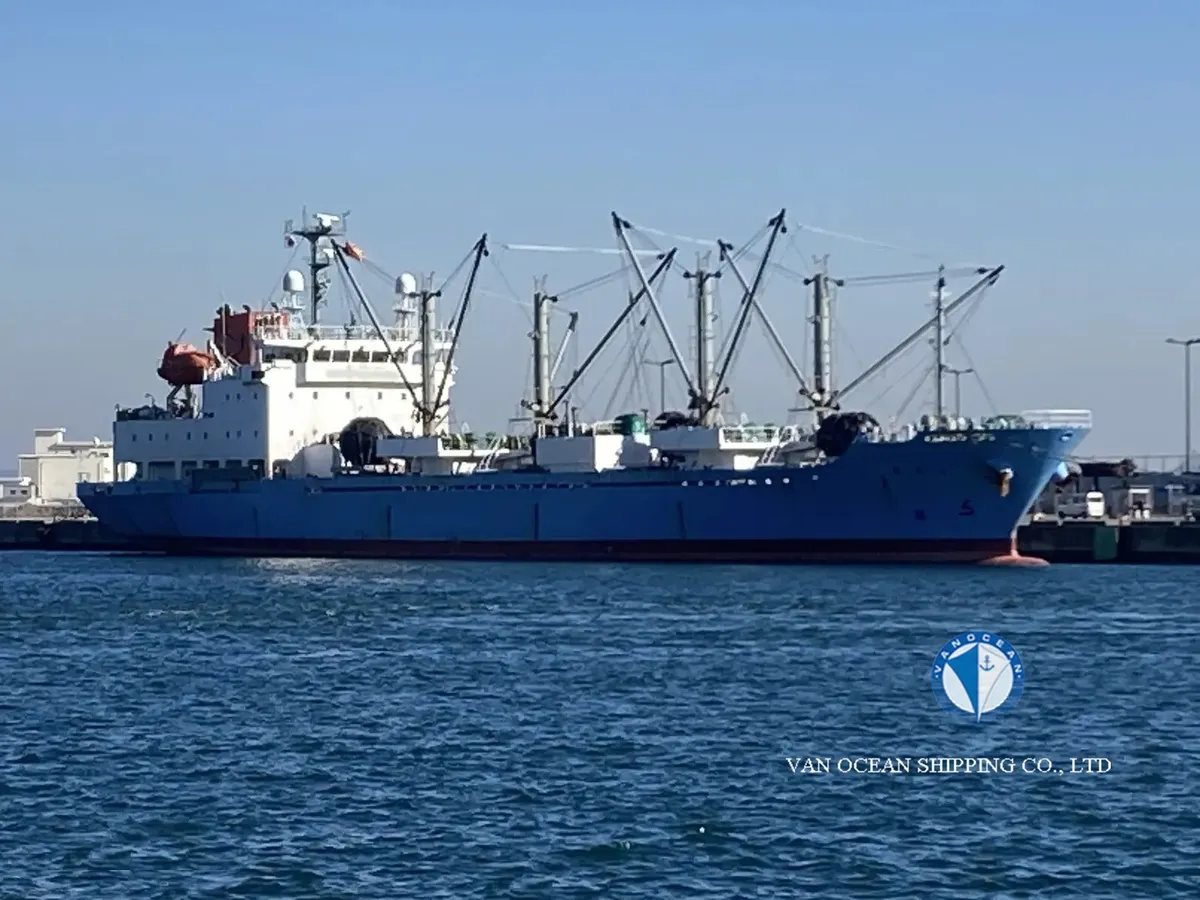 Koelschip te koop