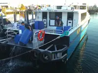 Catamaran Te koop