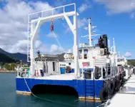 Catamaran te koop
