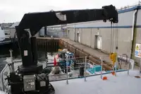 Catamaran te koop