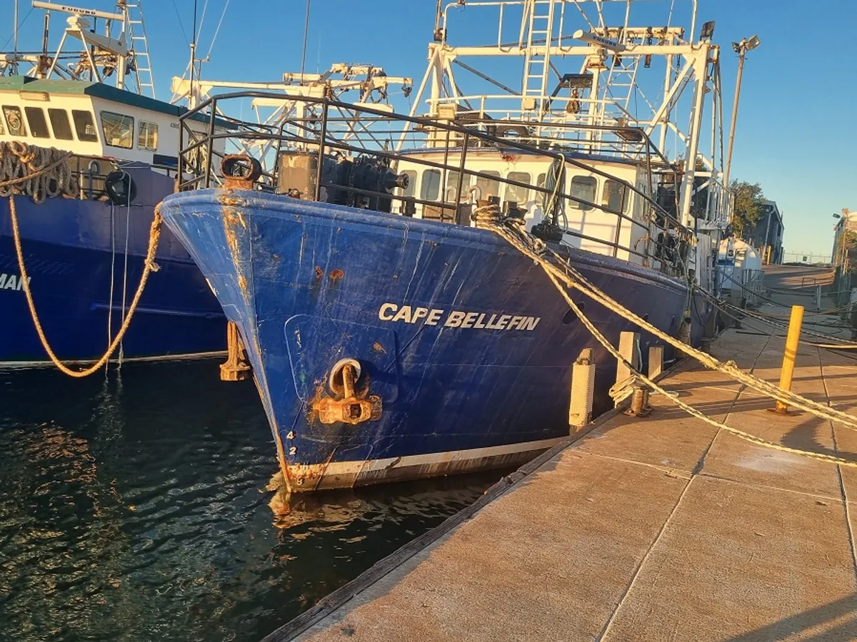 Trawler te koop