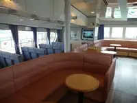 Catamaran te koop