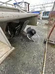 Patrouilleboot Te koop
