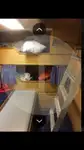 Beurtvisser te koop