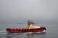 Sleepboot Te koop