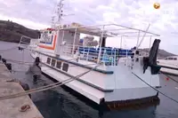 Veerboot te koop
