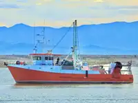 Trawler Te koop