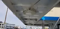 Catamaran te koop