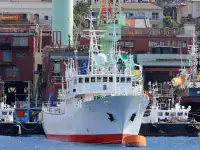 Patrouilleboot te koop
