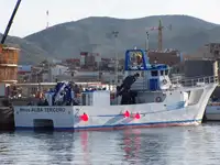Catamaran Te koop