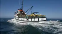 Trawler Te koop