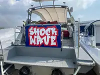 Veerboot te koop