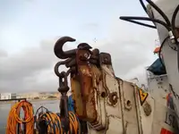 Werkboten te koop