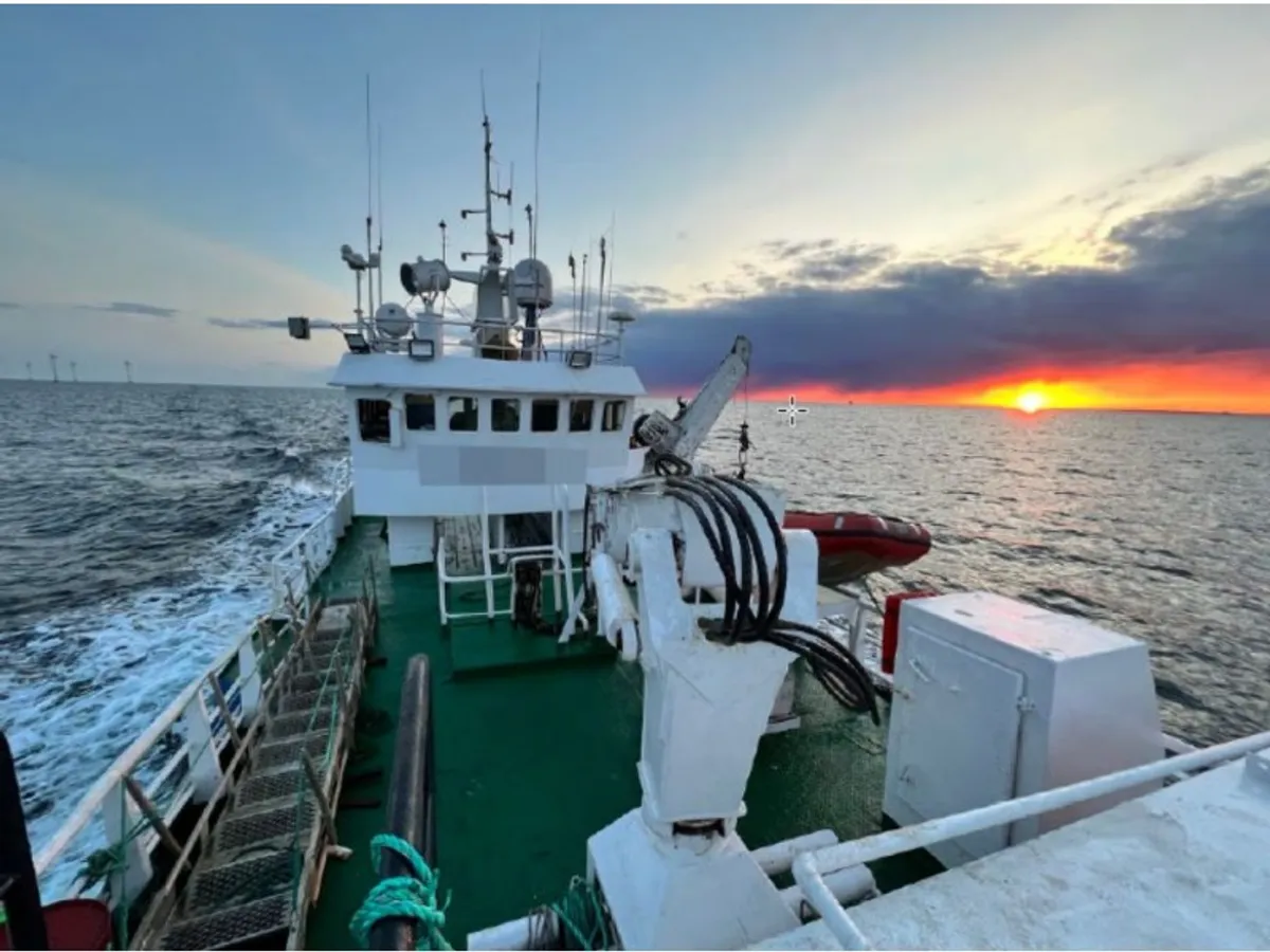 Veerboot te koop