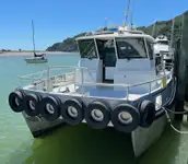 Catamaran te koop