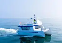 Catamaran te koop