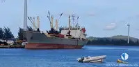 Koelschip te koop