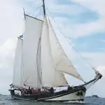 Jacht te koop