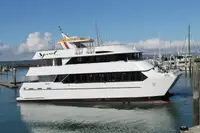 Catamaran te koop