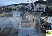 Barge te koop