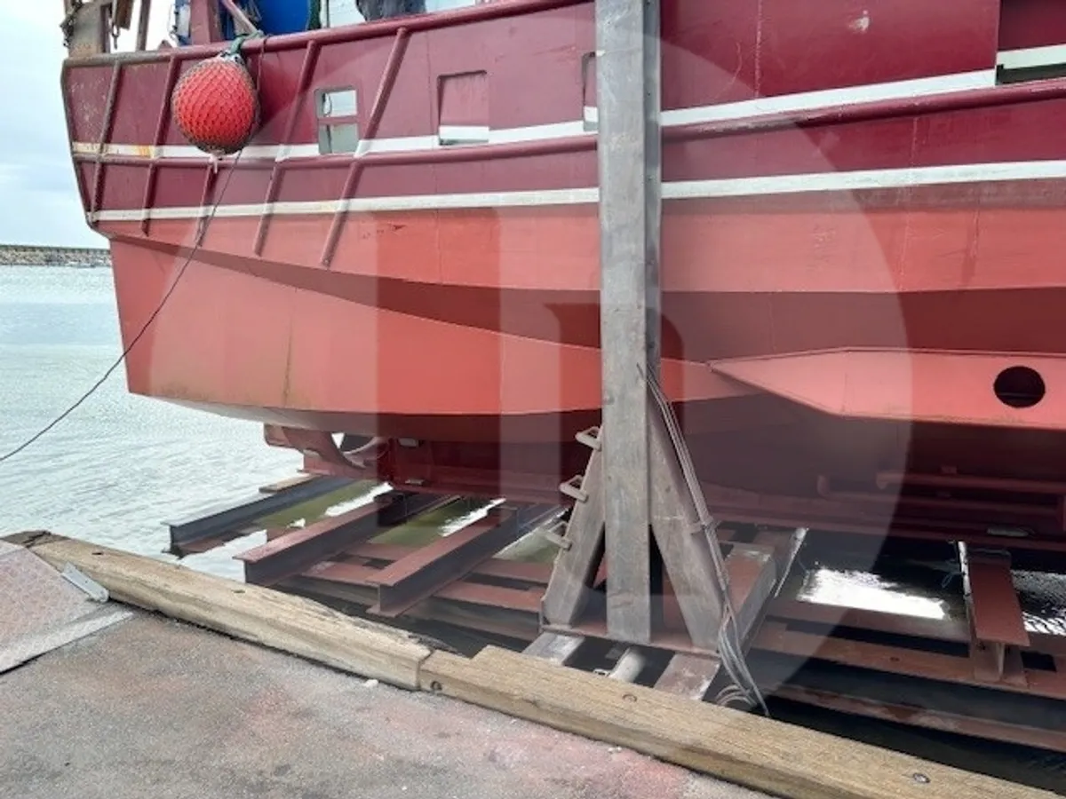 Levend vis transport schip te koop
