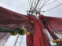 Trawler te koop
