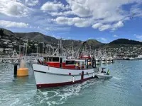 Trawler te koop