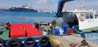 Werkboten te koop