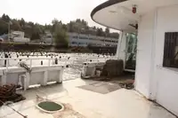 Veerboot te koop