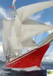 Cruise schip Te koop