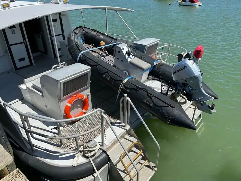 Catamaran te koop