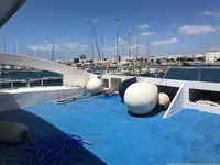 Catamaran te koop
