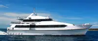 Catamaran te koop