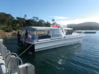 Catamaran Te koop
