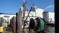 Trawler te koop