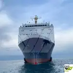 Ro-Ro-schip te koop