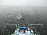 Containerschip te koop