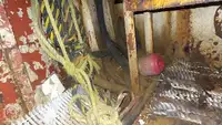 Sleperschip te koop