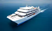 Catamaran Te koop