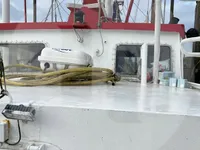 Beurtvisser te koop