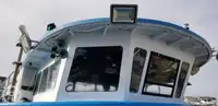 Catamaran te koop