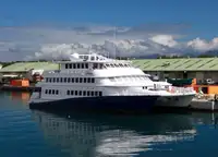 Catamaran Te koop