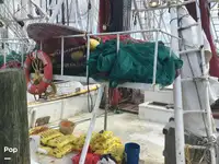 Trawler te koop
