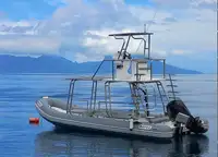 Stijve opblaasbare boot Te koop